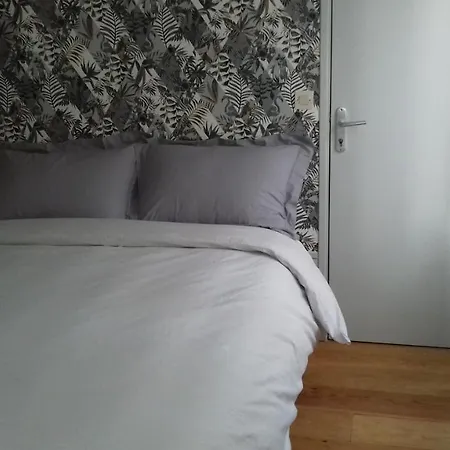 Duplex La Maisonnette 2 - Parking Gratuit Villa